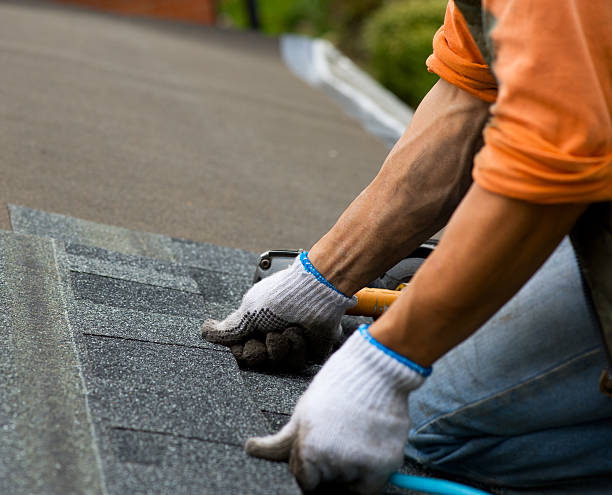 Best Local Roofing Companies  in Kingston, PA